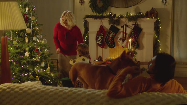 christmas_desktop_ff6ad528-33ca-4283-9926-d7e5843ce577.mp4